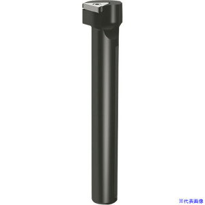 ��GUHRING �a����H�� �ۃV�����N�z���_�E���a���H�p �O������ ���M����- GB305.1000.670.90.12.R 2536812.031(1824932)[�����ʓr�����ς�][�@�l����][�f�O���]