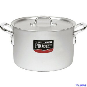 ��TKG �z�N�A �A���~ �v���Z���N�g ��������(�ڐ��t) 48cm AHV6148(1867175)[�����ʓr���ς�][�@�l�E���Ə�����][�f�O���]