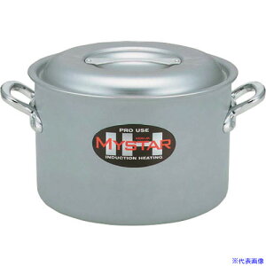 TKG zNA Ɩp}CX^[IH  21cm AHV9202(1870273)[ʓrς][@lEƏ][fO]