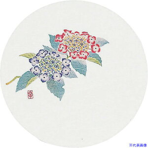 TKG A[ebN aR[X^[lG(50) WCO-M5  PKCK2(1919148)[ʓrς][@lEƏ][fO]