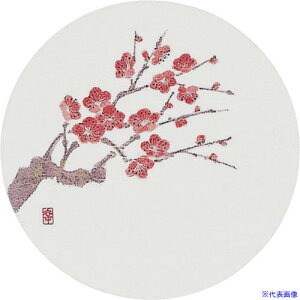 TKG A[ebN aR[X^[lG(50) WCO-M2 ~ PKCJ9(1920783)[ʓrς][@lEƏ][fO]