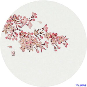 TKG A[ebN aR[X^[lG(50) WCO-M3  PKCK0(1920852)[ʓrς][@lEƏ][fO]