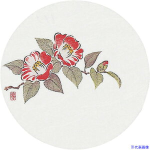 TKG A[ebN aR[X^[lG(50) WCO-M9  PKCK6(1928712)[ʓrς][@lEƏ][fO]