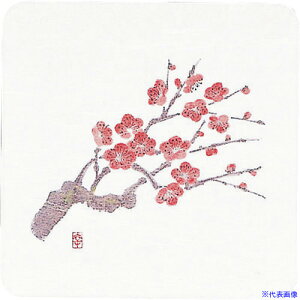 TKG A[ebN aR[X^[lGp(50) WCO-K2 ~ PKCJ6(1928782)[ʓrς][@lEƏ][fO]