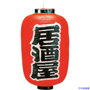 ��TKG �J�h�L �r�j�[���� ���12�����^ ������ b256 YTY04006(1939730)[�����ʓr�����ς�][�@�l����][�f�O���]