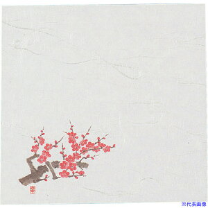 TKG A[ebN j[lG 4(100) NS-75 ~ QKIH201(1941036)[ʓrς][@lEƏ][fO]