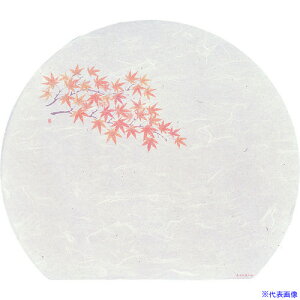 TKG A[ebN ԍRۘa 3܂(100) ݂ WH-13 QMT14(1944564)[ʓrς][@lEƏ][fO]