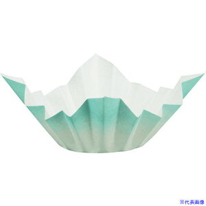 TKG I Fa(250) F SKA145 QNB4701(1944588)[ʓrς][@lEƏ][fO]