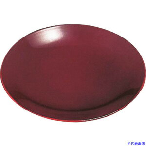 ��TKG ����N���t�g �����~��4.2�� �Ñ���X�M �� 82156030 RFI0601(1944720)[�����ʓr���ς�][�@�l�E���Ə�����][�f�O���]