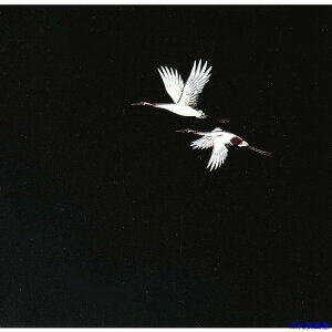 TKG A[ebN OPNAlG (200) OS-12-1 QKL111(1944735)[ʓrς][@lEƏ][fO]