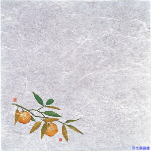 TKG }R[ VEG򏑎(100) Mq QHU23(1944770)[ʓrς][@lEƏ][fO]
