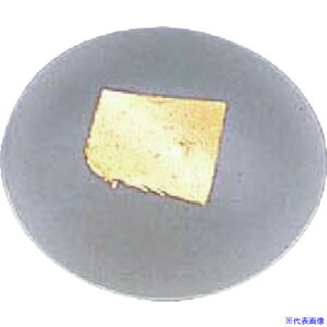 TKG GYWp KXۋu T28-02 RHSP301(1945151)[ʓrς][@lEƏ][fO]