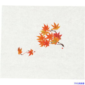 TKG }C Nxێ(100) ݂ M30-087 QSV12(1945719)[ʓrς][@lEƏ][fO]