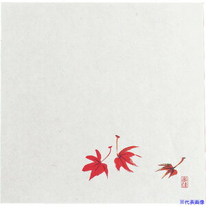 TKG }C ϖ~18p(100) ݂ M30-227 QTI15(1946794)[ʓrς][@lEƏ][fO]