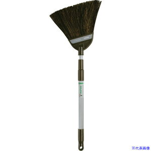 azuma BR162 3iLk ԃV_z[LAL 270698(1954558)