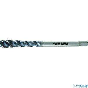 } Z|PRO R[eBOXpC^bv VUSP P4 M10X1.25 VUSPP4M10X1.2520(1954604)