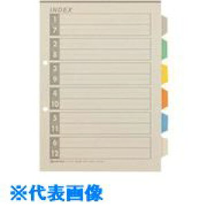 ��JTX 381562)�Đ�INDEXA4S6�F6�R100�g D137J-6Y10 D137J6Y10(1959881)[�����ʓr�����ς�][�@�l����][�f�O���]