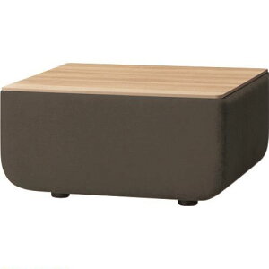 PLUS 51515)WF\t@ e[u CT-WFS07LW CDG CTWFS07LWCDG(1960257)[ʓrς][@l][O]