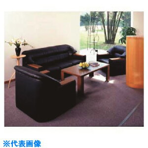 PLUS 26291)Z^[e[u CT-2002T CT2002T(1964938)[ʓrς][@l][O]