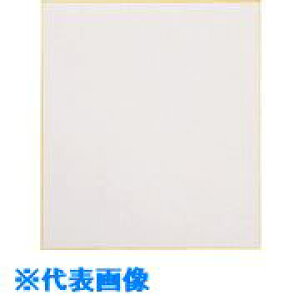 JTX 365339)F TCp 50 N101J-S N101JS(1966270)[ʓrς][@lEƏ][fO]