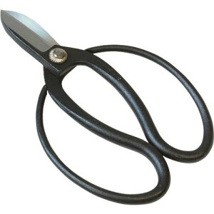  󒷋v × |t 165mm 192053(1994115)[ʓrς][@l][O]