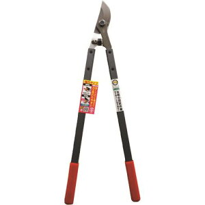  FG͑}S621|RG 192451(1994139)[ʓrς][@l][O]