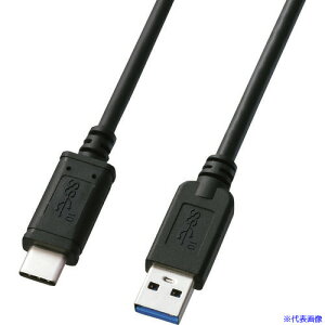 SANWA USB3.1Gen2TypeC-AP[u KU31CA10(2005538)
