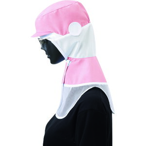 TybNX Ot[h qXq sN S CD590D1S(2048138)