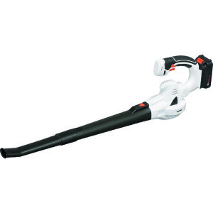 IRIS 572547[du JB181(2063095)