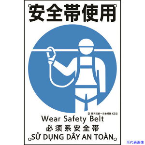 Ώ\ ЖhSW Sюgp KS5 450×300mm |vs 081005(2073541)