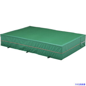 ���g�[�G�C���C�g �����O���p�G�o�[�}�b�g ������(�J�o�[)�̂�200×300×50cm G1553A(2077767)[�����ʓr�����ς�][�@�l����][����]
