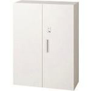 vX 657773)L6 ICOJۊǌ L6-E105A-LG-B W4 L6E105ALGBW4(2092007)[ʓrς][@lEƏ][O]