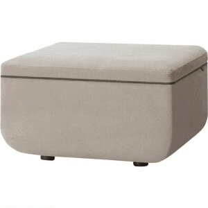 vX 51454)WF\t@ 1l|wȂ LS-WFS01S CLG LSWFS01SCLG(2111705)[ʓrς][@lEƏ][O]