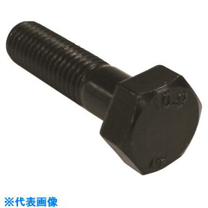 ���R�m�G ���x�敪10.9 �Z�p�{���g ���˂� M22x80 (20�{��) BT109H2280(2151548)[�����ʓr�����ς�][�@�l����][�f�O���]