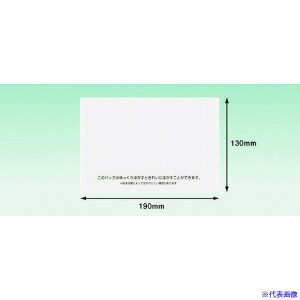 psX Ĕfo[pbN S^Cv(A6TCYp)130×190 100 Sʌ PA704RJN(2157273)