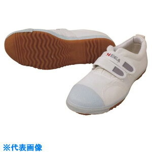 쑽 vc낤 DK530 zCg 26.0 DK530WH26.0(2171253)[ʓrς][@l][fO]