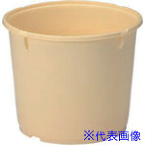 TR[ Е^ 402001 20K-4({) N[ 402001CL00(C)(2176028)[ʓrς][@l][O]