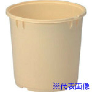 TR[ Е^ 401801 20K-6({) N[ 401801CL00(C)(2176221)[ʓrς][@l][O]