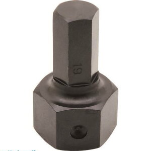 ��ASH �Ō��Z�p�_�X�p�i19mm�����p�r�b�g DAT1900(2259951)[�����ʓr�����ς�][�@�l����][�f�O���]