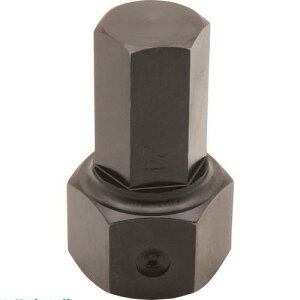 ��ASH �Ō��Z�p�_�X�p�i24mm�����p�r�b�g DAT2400(2259973)[�����ʓr�����ς�][�@�l����][�f�O���]