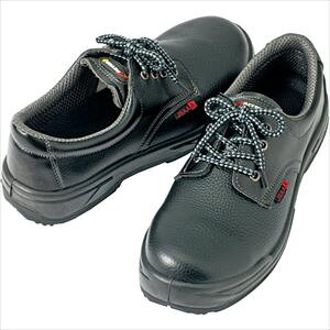 ACgX Z[teBV[Y(E^+SZCq) AZ5982501027.0(2267305)[ʓrς][@l][fO]