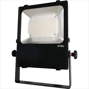 @ [dLED NLFL20BS(2275811)[ʓrς][@lEƏ][fO]