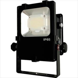 @ [dLED NLFL10BS(2275818)[ʓrς][@lEƏ][fO]