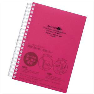 LIHIT cCXgm[g^  B6-21 N16673(2275830)[ʓrς][@l][fO]