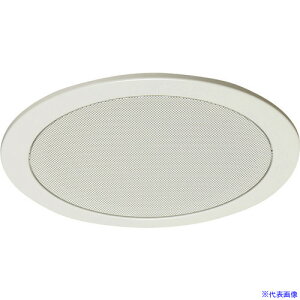 TOA V䖄^Xs|J|ppl ی^ CP239W(2279255)[ʓrς][@l][fO]