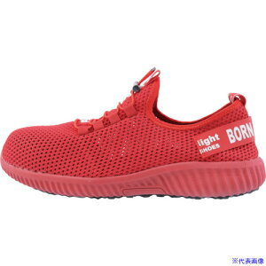 XEBEC ZteBV[Y85412|71|280 bh 8541271280(2374491)[ʓrς][@l][fO]