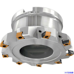 ���C�X�J�� �t���C�X�H�� �^���O�t�B�� �n��8�� �n�a100.0mm �V�����N�amm HTFD1000831.75RLN10(2407080)[�����ʓr�����ς�][�@�l����][�f�O���]