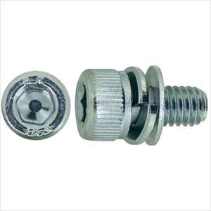 ��SUNCO �O���u���b�N 10.9CAP P=4 ����S�H���� 6 X 12 (200�{��) A000904J0060012004(2413593)[�����ʓr�����ς�][�@�l����][�f�O���]