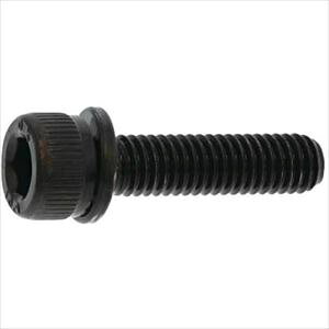 ��SUNCO �O���u���b�N 10.9CAP P=2 ����S�H���� 6 X 45 (100�{��) A000902J0060045004(2424622)[�����ʓr�����ς�][�@�l����][�f�O���]