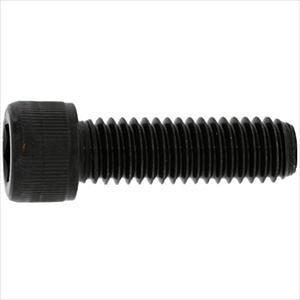 SUNCO XeCAP(UNC #4|40×9/16 (100{) A00200307040804500(2429515)[ʓrς][@l][fO]